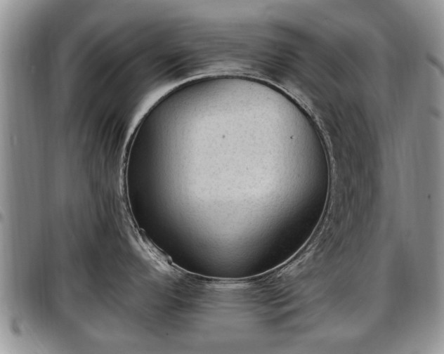 X0000097501296200802291550