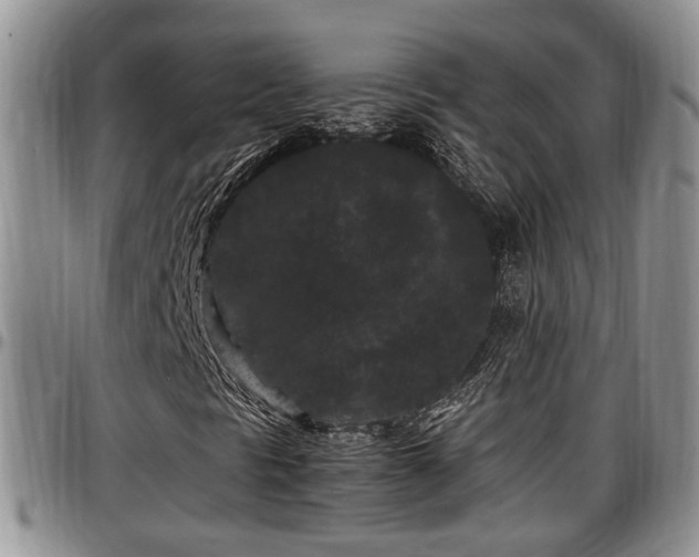 X0000097501297200802291550