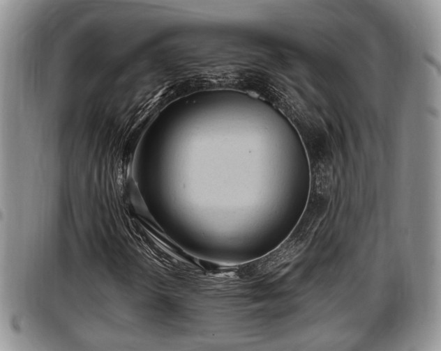 X0000097501298200802291550