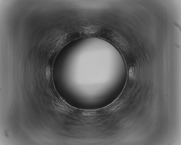 X0000097501299200802291550