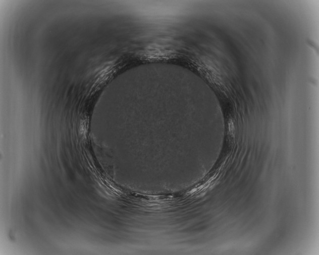 X0000097501300200802291550