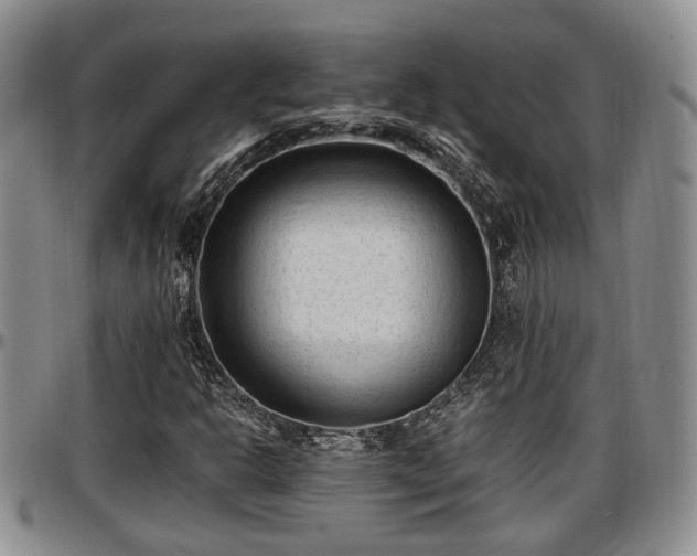 X0000097501302200802291550