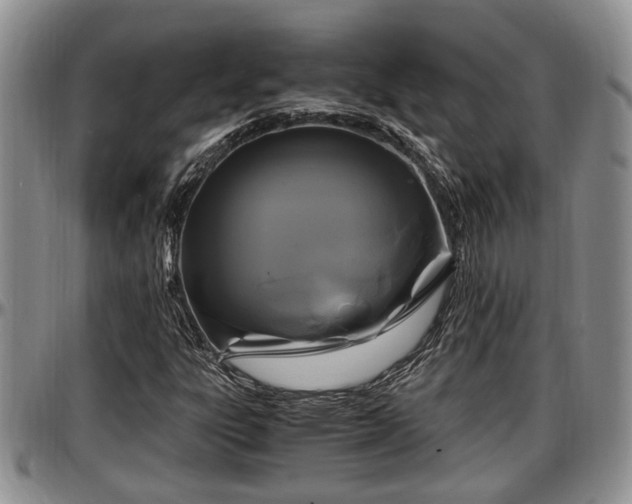 X0000097501303200802291550