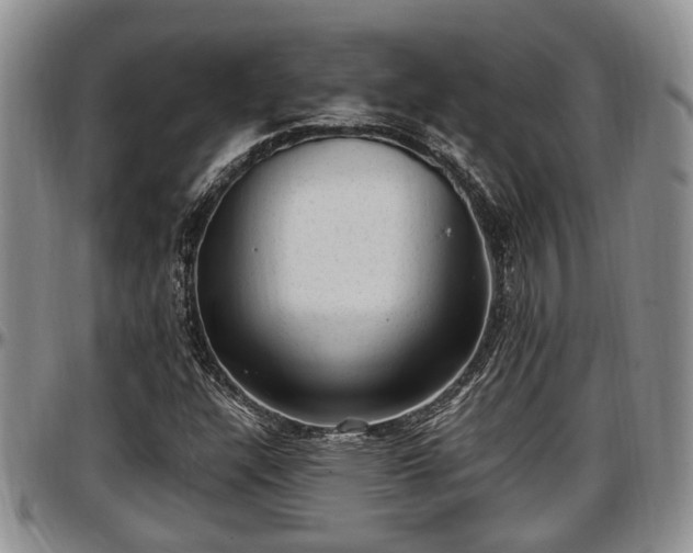 X0000097501304200802291550