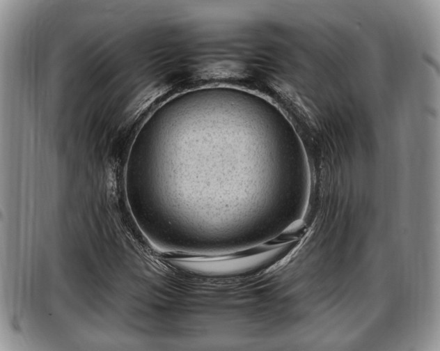 X0000097501305200802291550