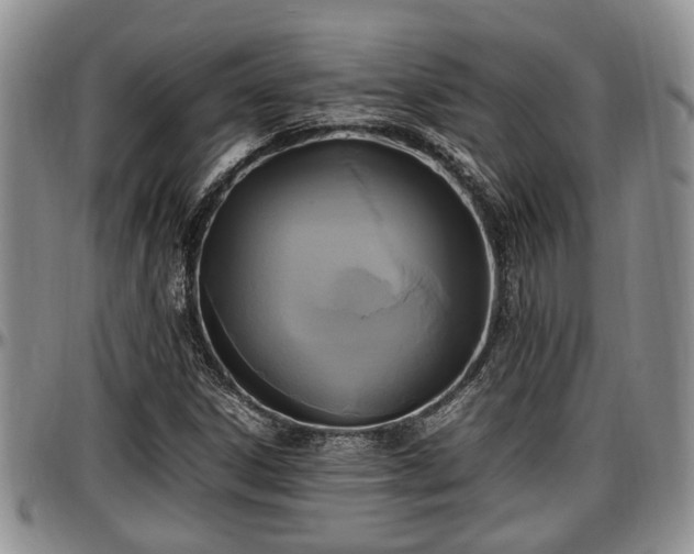 X0000097501306200802291550