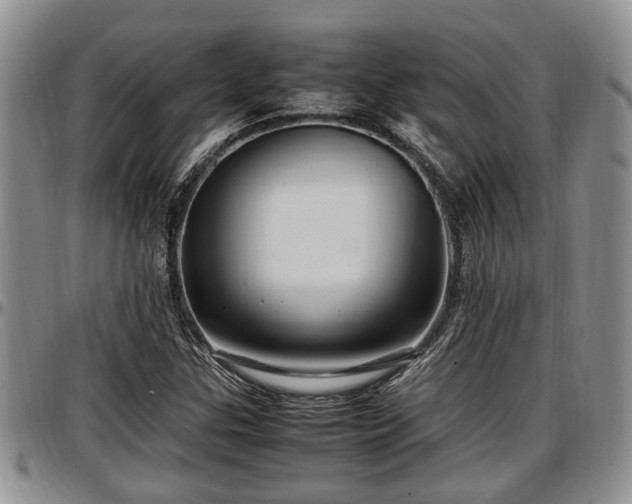 X0000097501307200802291550