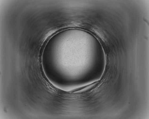 X0000097501308200802291550
