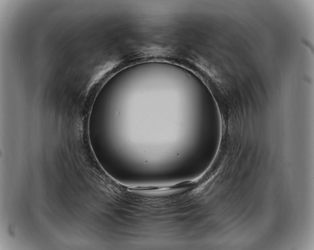 X0000097501309200802291550