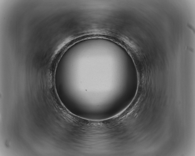 X0000097501310200802291550