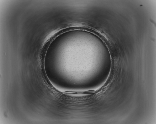 X0000097501311200802291550