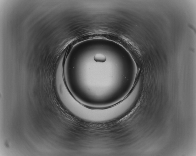 X0000097501313200802291550