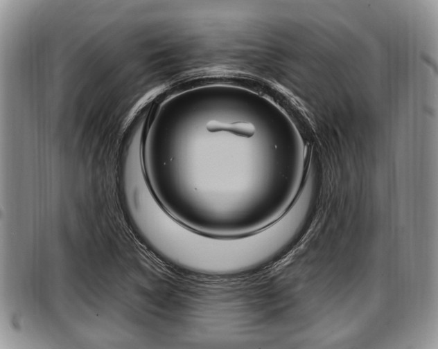 X0000097501314200802291550