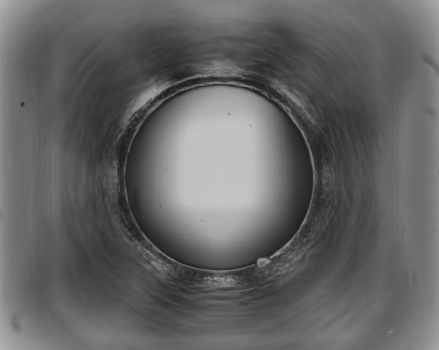 X0000097501315200802291550