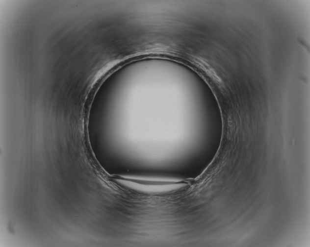 X0000097501316200802291550