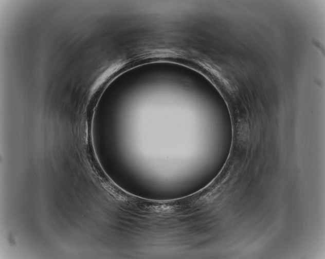 X0000097501317200802291550