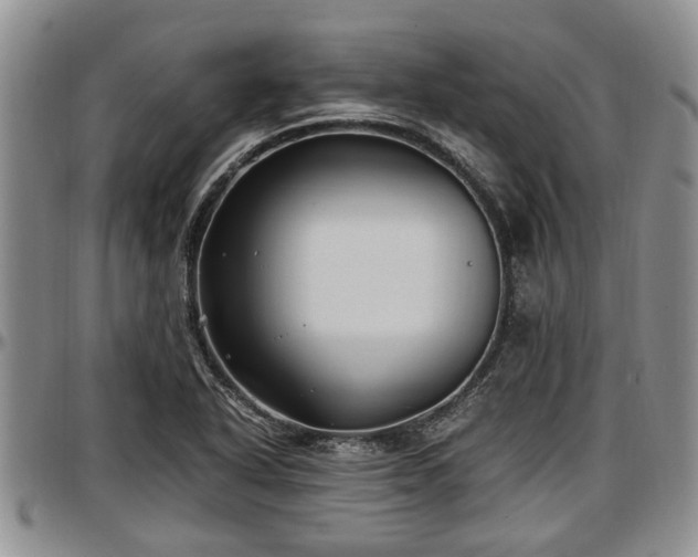 X0000097501318200802291550