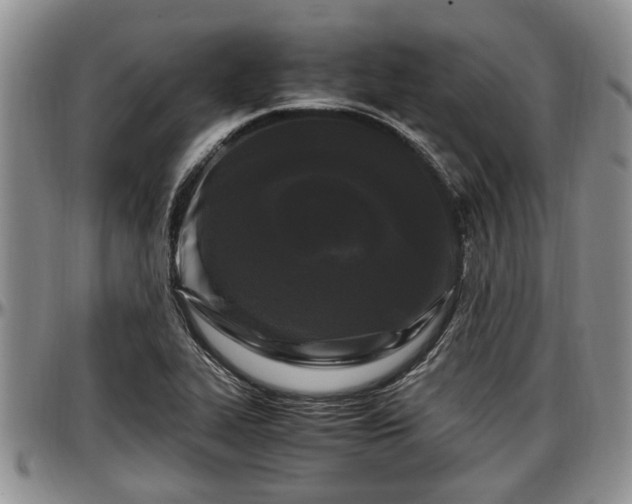 X0000097501319200802291550