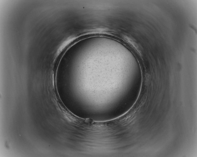 X0000097501320200802291550
