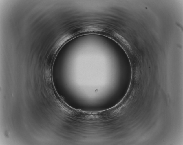 X0000097501321200802291550