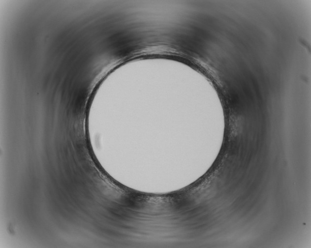 X0000097501322200802291550