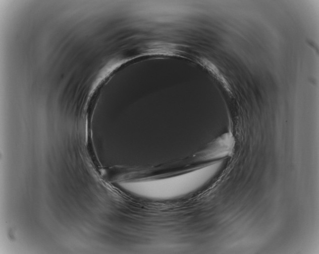 X0000097501323200802291550