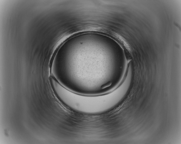 X0000097501324200802291550