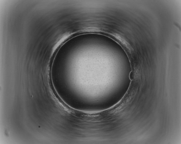 X0000097501325200802291550