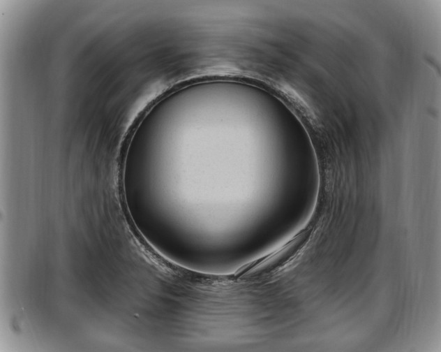 X0000097501326200802291550