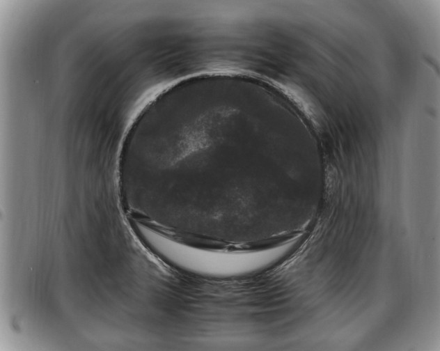 X0000097501327200802291550