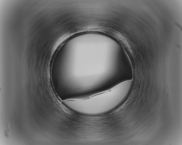 X0000097501328200802291550