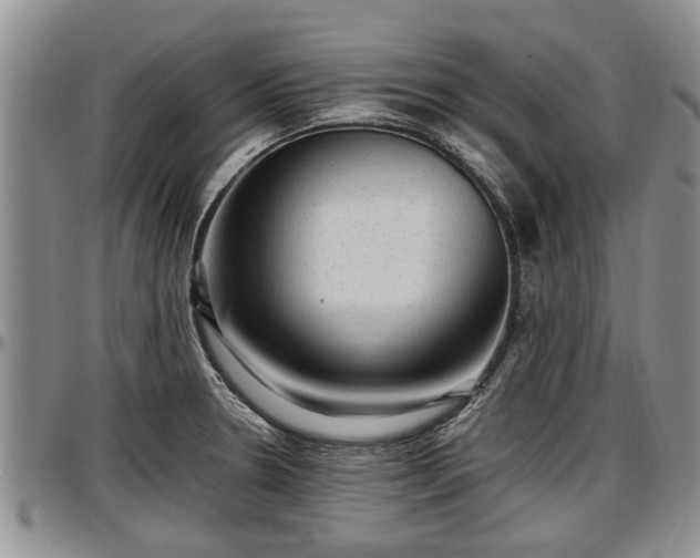 X0000097501330200802291550
