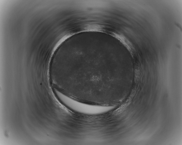 X0000097501331200802291550