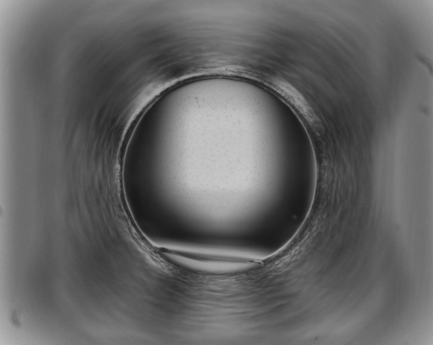 X0000097501332200802291550