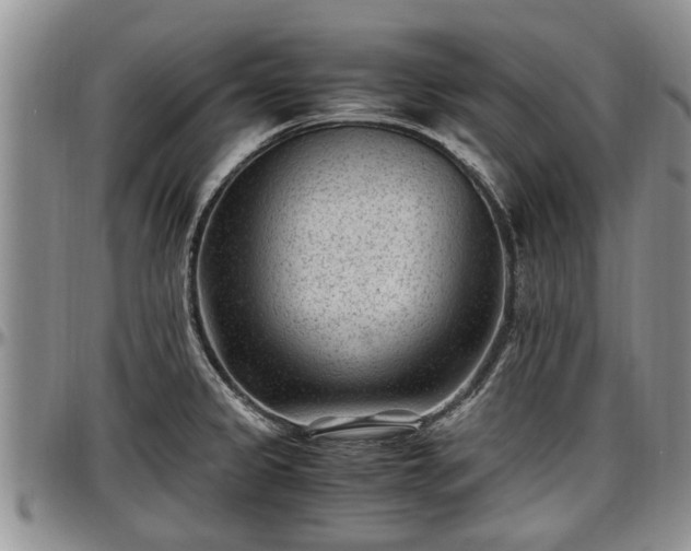X0000097501333200802291550