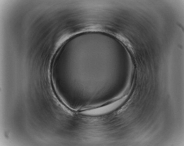 X0000097501334200802291550