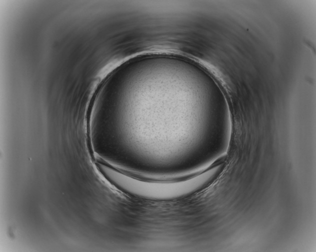 X0000097501335200802291550