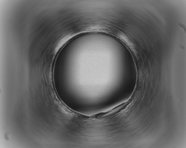 X0000097501336200802291550