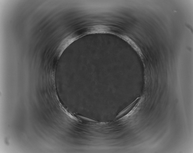 X0000097501337200802291550