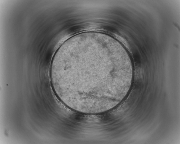 X0000097501338200802291550