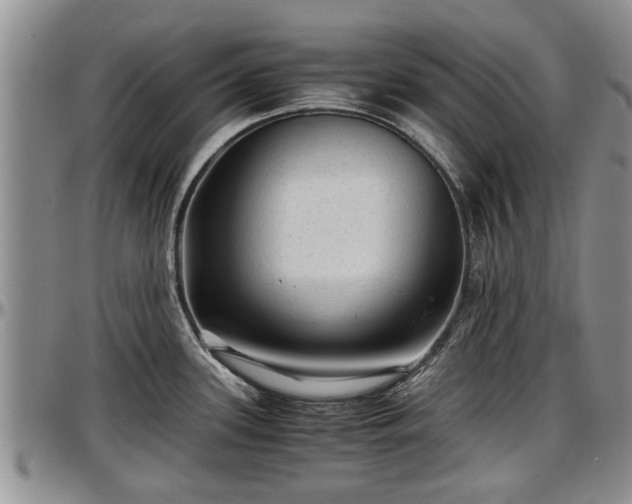 X0000097501339200802291550