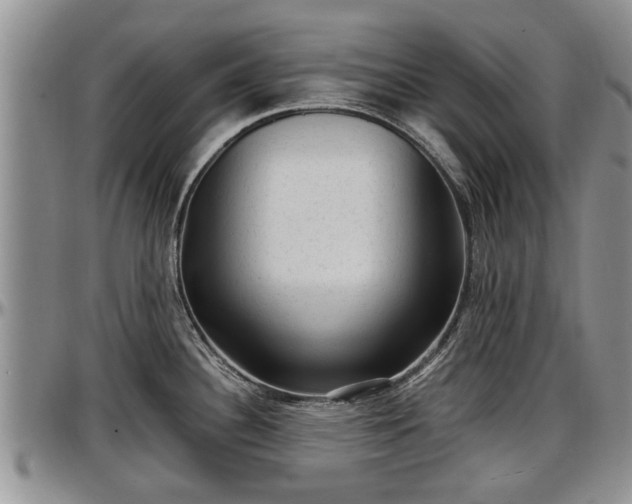 X0000097501340200802291550