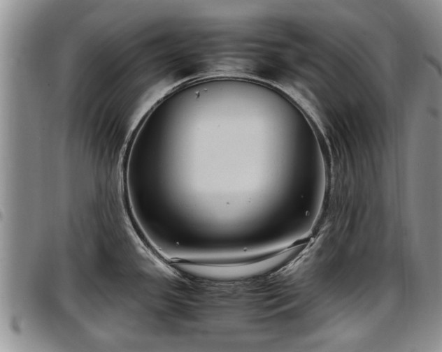 X0000097501341200802291550