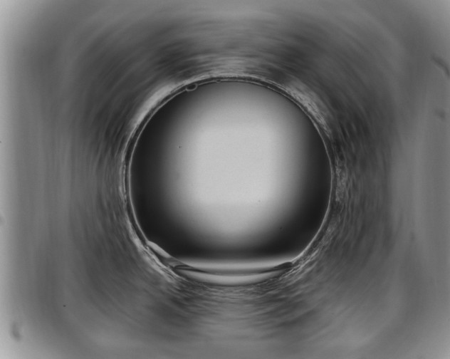 X0000097501342200802291550