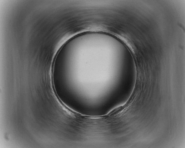X0000097501343200802291550