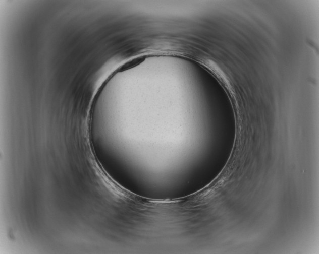 X0000097501344200802291550