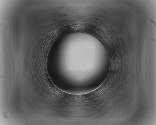 X0000097501345200802291550