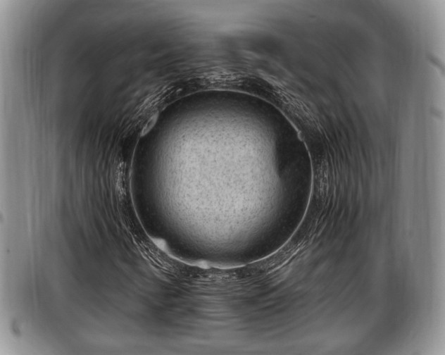 X0000097501346200802291550