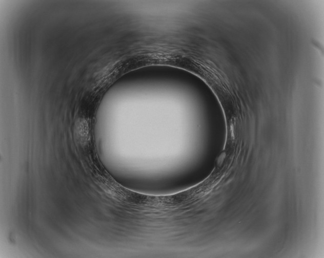 X0000097501347200802291550