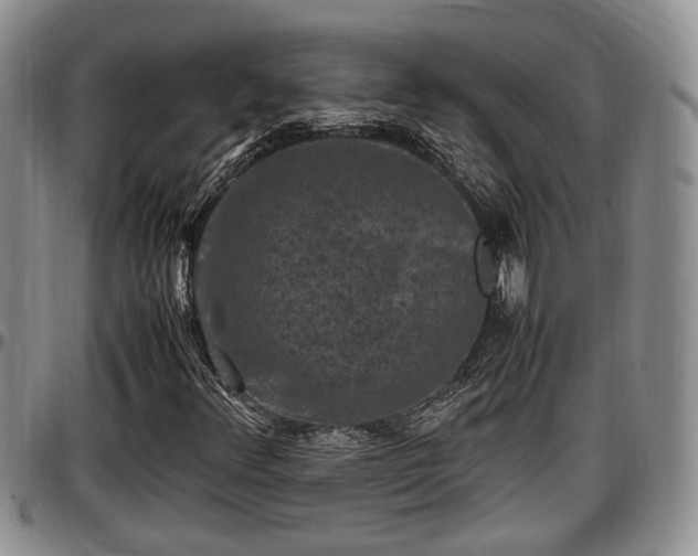 X0000097501348200802291549